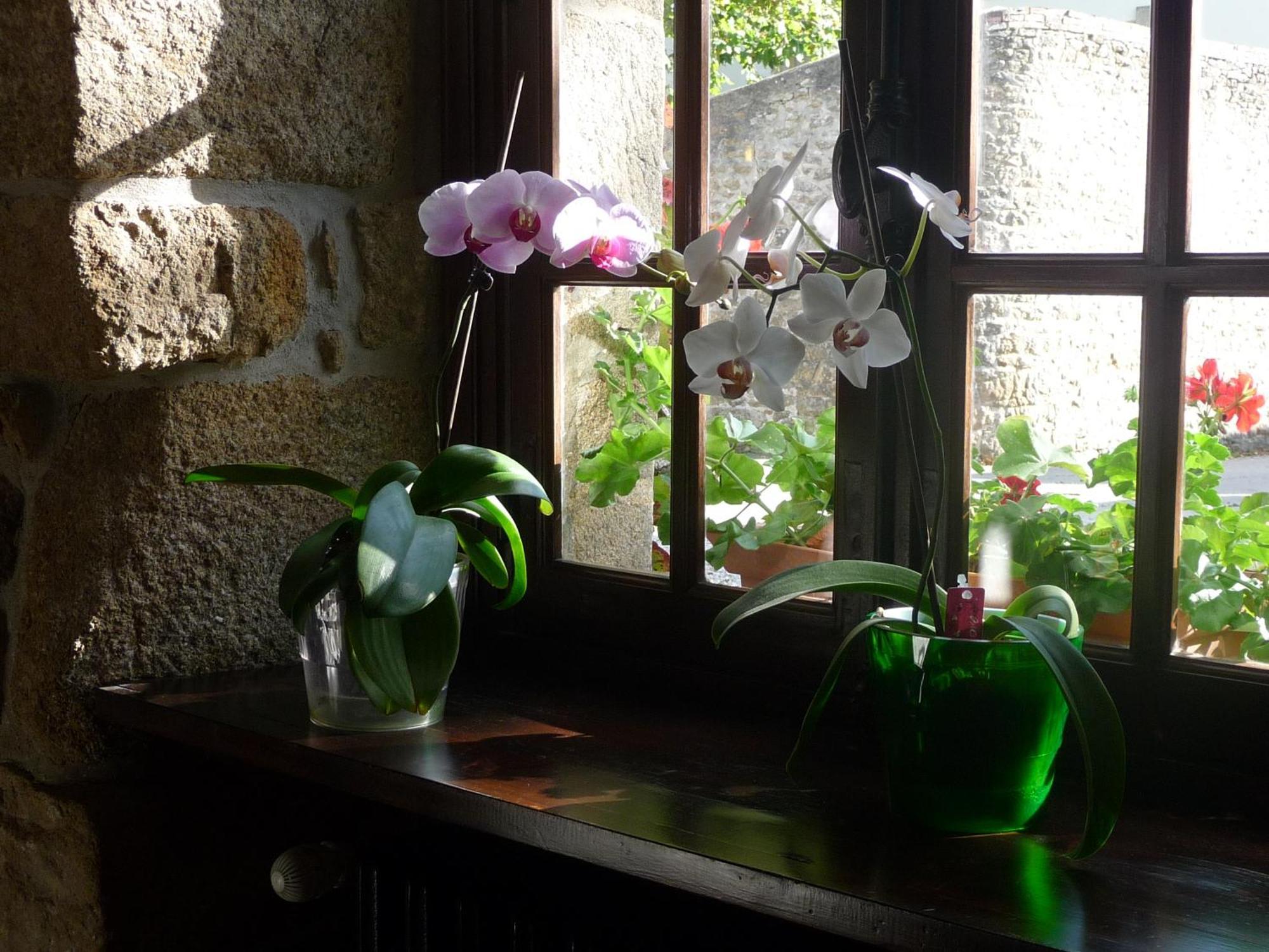 Logis Hotel Et Restaurant Auberge Le Ratelier Carnac Esterno foto
